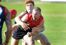 Let the heavyweights colide