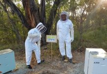 Bold bids for state’s cash