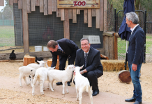 Tynong’s ‘Disney World’ takes shape