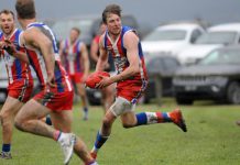 It’s proven – they’re Island strong