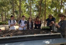 Growing skills in the great outdoors
