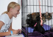 Pet adoption day brings out best in community