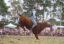 Lang Lang Rodeo hailed as a great success