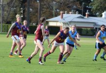 Lions continue their winning ways