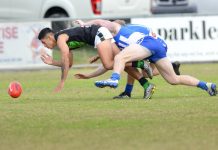 Doves spoil the party