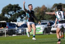 Cobras shine on the big stage