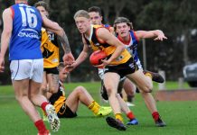 Who’s in the lead?