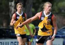 Do-or-die for Stingrays