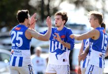 Kangaroos on the rise