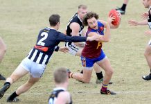 The cream of the crop