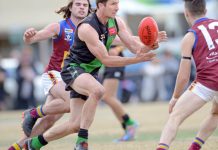 Boyd – the calming influence