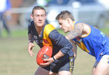 Excitement building at Tigerland