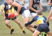 There’s a buzz at Berwick