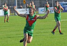 Seagulls are set to soar again