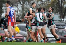 Finally…the footy’s back!