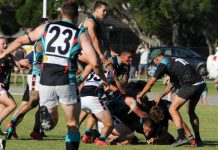 Cobras’ fairy tale finish