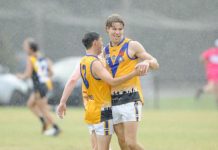 Ellison: the new bookend with enormous upside