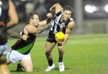 Magpies shine under lights