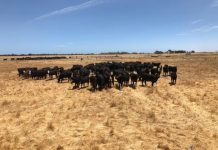 Don’t let the heat evaporate your profits