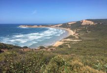 Three beaches to visit this summer