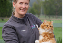 Pet care in your own home