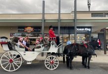 A jolly Christmas tour