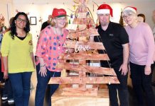 Creative trees on display