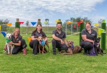 Spotlight on shelter’s unpopular pack