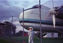 Snapshots of an alien time