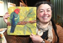 Changing the perception of insects through quilting