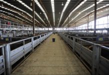 Pakenham saleyard sells for $25 million