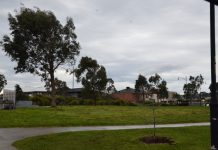 A ’pigsty’, resident fed up with park maintenance