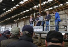Farmers say goodbye to Pakenham’s saleyard