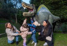 Prehistoric party at Wilson Botanic Park