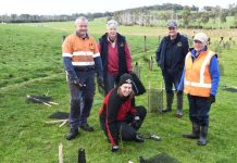 Pakenham business joins Cannibal Creek Landcare