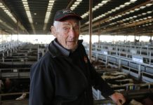 Seeing off Pakenham’s saleyard