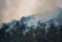Bushfire support funding for local schools