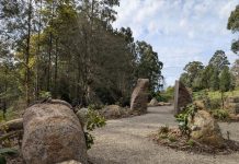 Cloud forest launched in Olinda