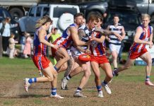 Mouthwatering entree to finals