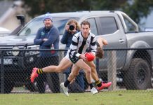 Hamish helps Magpies work their magic