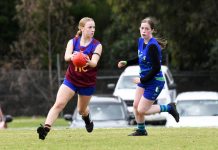 Lions stalking football’s ultimate prize