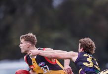 Stingrays continue winning form