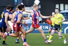 Doggies destroy Sea Eagles
