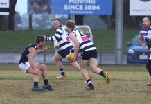 Grand final glory awaits Veterans