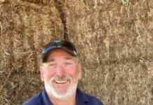 Fill your sheds with hay, they say