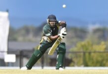 Teddy comforts his Cougars