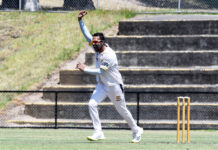 Four fascinating weeks for Turf 2’s top dogs