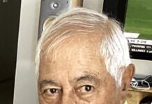 Wombats win with four overs to spare