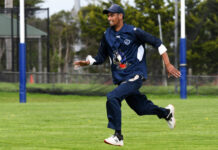 Wagging tail no good for Cats