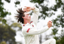 Panthers relent to Bulls’ charge